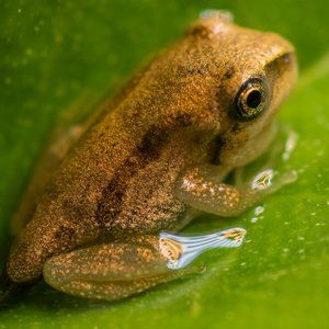 Meet your Posher, Marina